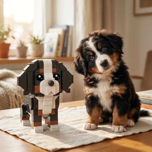 Bernese Mountain Dog Building blocks Set