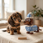 Pajama Dachshund Building blocks Set