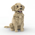 Golden Retriever Building blocks Set